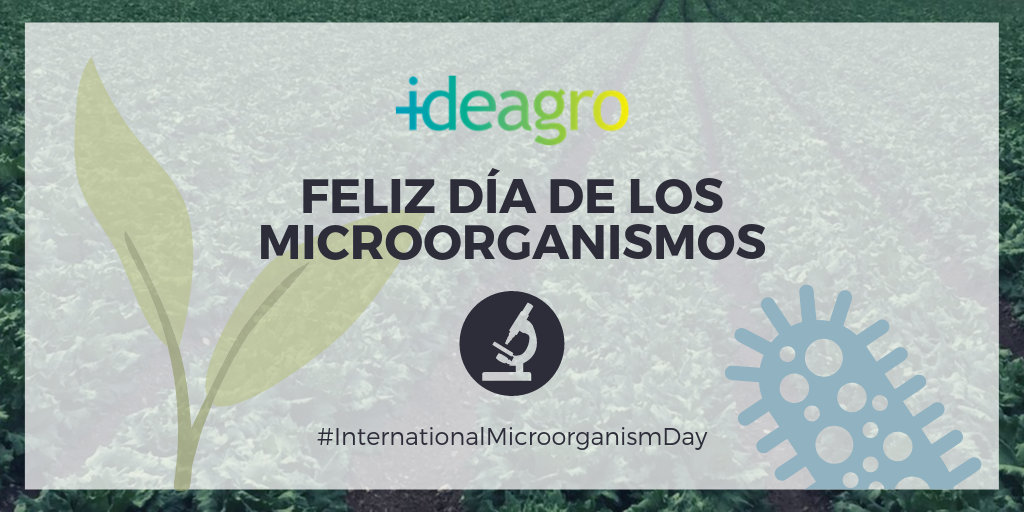 Día Internacional de los Microorganismos – 17 de septiembre