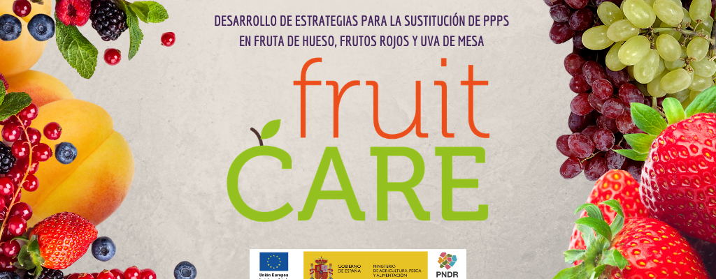 Nota de prensa. Videoconferencia Técnica de Divulgación sobre ensayos del GOS #fruitCARE: “Sustitución de PPPs en fruta de hueso, frutos rojos y uva de mesa.”